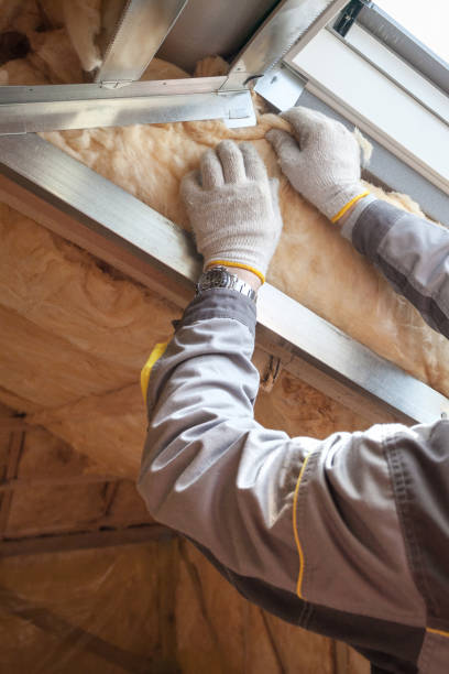 Best Geographic-Specific Insulation Services in Frankl, IN
