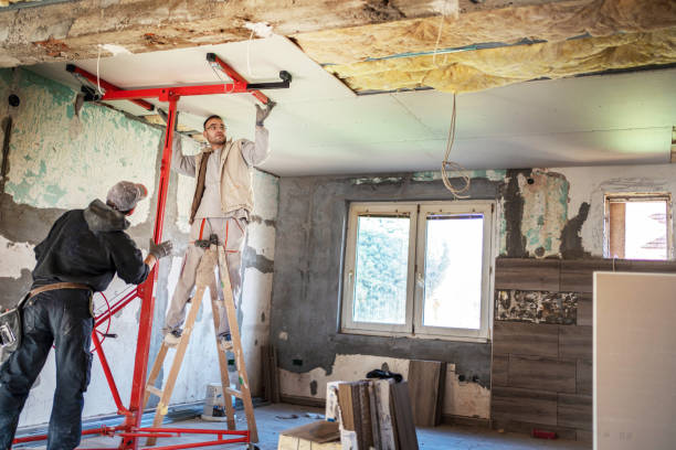 Best Eco-Friendly Insulation in Frankl, IN