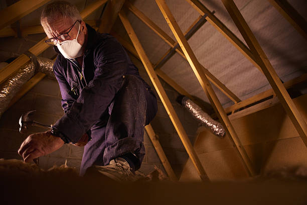 Best Residential Insulation in Frankl, IN