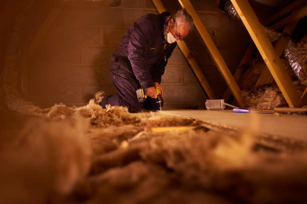 Best Insulation Maintenance and Repair in Frankl, IN